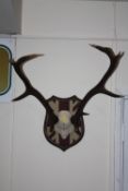 A MODERN SET OF DEER ANTLERS ON MODERN UNION JACK FABRIC COVERED SHIELD