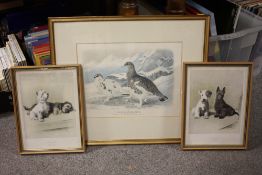 A FRAMED AND GLAZED LITHOGRAPH ENTITLED LAGOPUS HYPERBOREUS, TOGETHER WITH A PAIR OF CECIL ALDIN DOG