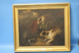 AN FRAMED OIL ON CANVAS OF A JACK RUSSELL, SIGNATURE INDISTINCT