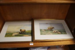 FRANCIS WAINWRIGHT - TWO WATERCOLOURS DEPICTING SHEEP