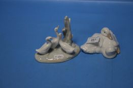 A NAO DUCK GROUP AND GEESE