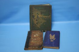 ROBERT HOGG & THOMAS MOORE - 'THE FLORIST AND POMOLOGIST; A Pictorial Monthly Magazine' 1867,