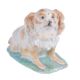 A Derby porcelain model of a Bolognese terrier in the Meissen style - Image 2 of 2