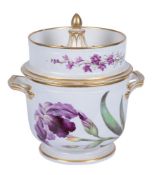 A Derby botanical ice pail
