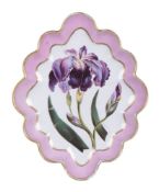 A Derby botanical shaped oval serving dish painted with an iris and attributed to William 'Quaker'
