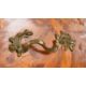 A Louis XV tulipwood and specimen marquetry serpentine commode, circa 1760 - Image 5 of 7