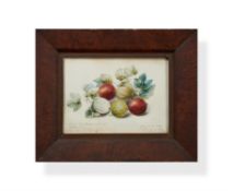 Thomas Allport (British 19th century), Study of prize winning gooseberries