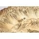 A pair of late Victorian silver gilt shaped circular dishes by W. G. Connell - Image 3 of 3