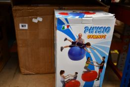 Four boxed as new Gymnic (95cm) physio balls.