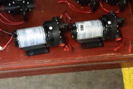Two Elga Veolia recirculation water pumps.