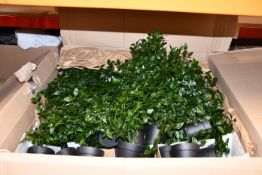 A quantity of as new Fejka artificial potted plants (Approximately 60).