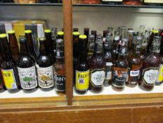 A quantity of miscellaneous beers, lagers and ciders (Approximately 70 items) (Over 18s only).