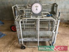 IAE Sheep Weigh Scales