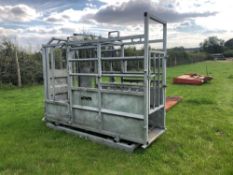 Bateman cattle crush