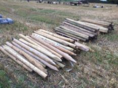 Quantity of fencing posts