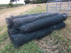 Plastic coated fencing