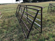 Quantity of mesh gates