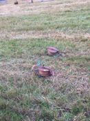 Quantity of electric fencing equipment