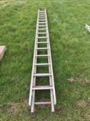 Quantity single ladders