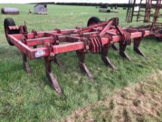 Massey Ferguson MF25 12ft linkage mounted cultivator. Serial no: K4980