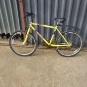 Apollo Reckless bicycle