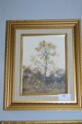 Gilt Framed Oil on Board by Neil Spilman - 