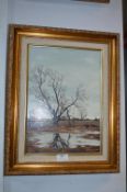 Gilt Framed Oil on Canvas by Neil Spilman - 