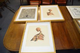 Three Abstract Figure Studies