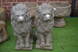 Pair of Garden Lion Statues