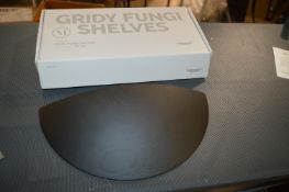 *Gridy Fungi Shelf in Black Oak