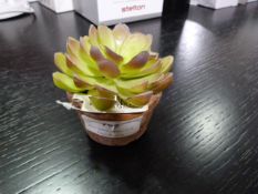 *Small Artificial Succulent in Terracotta Pot