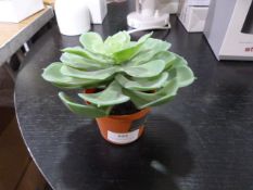 *Small Vranckx Artificial Pot Plant (Marked Retail
