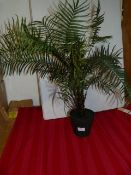 *Artificial Fern ~2ft Tall