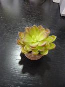 *Small Artificial Succulent in Terracotta Pot