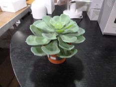 *Small Vranckx Artificial Pot Plant (Marked Retail