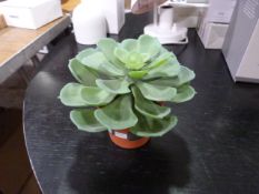 *Small Vranckx Artificial Pot Plant (Marked Retail