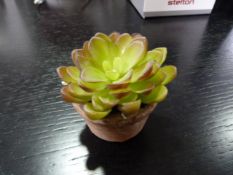 *Small Artificial Succulent in Terracotta Pot
