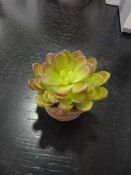 *Small Artificial Succulent in Terracotta Pot