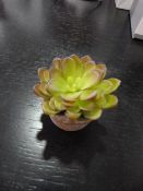 *Small Artificial Succulent in Terracotta Pot