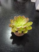 *Small Artificial Succulent in Terracotta Pot