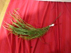 *Vranckx Artificial Sprig ~2'3