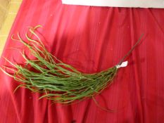 *Vranckx Artificial Sprig ~2'3