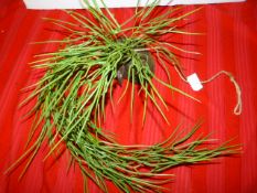 *Wall Hanging Sprigs