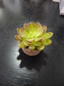 *Small Artificial Succulent in Terracotta Pot