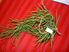 *Wall Hanging Artificial Sprigs