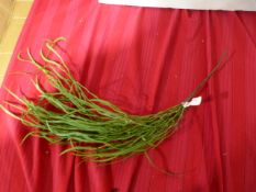 *Vranckx Artificial Sprig ~2'3