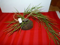 *Wall Hanging Sprigs