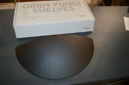 *Gridy Fungi Shelf in Black Oak