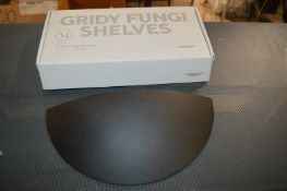 *Gridy Fungi Shelf in Black Oak