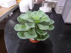 *Small Vranckx Artificial Pot Plant (Marked Retail